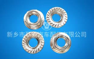 Dacromet coated nuts Dacromet coated nuts